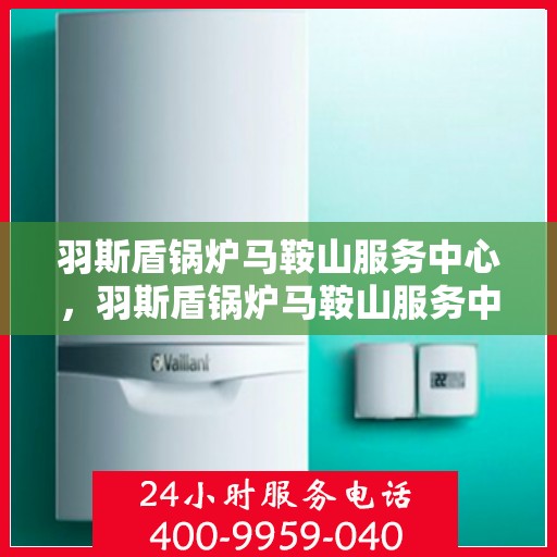 羽斯盾锅炉马鞍山服务中心，羽斯盾锅炉马鞍山服务中心，专业维护，无忧运行