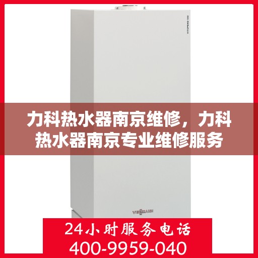 力科热水器南京维修，力科热水器南京专业维修服务